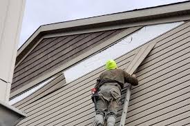 Best Historical Building Siding Restoration  in Palmetto Estates, FL